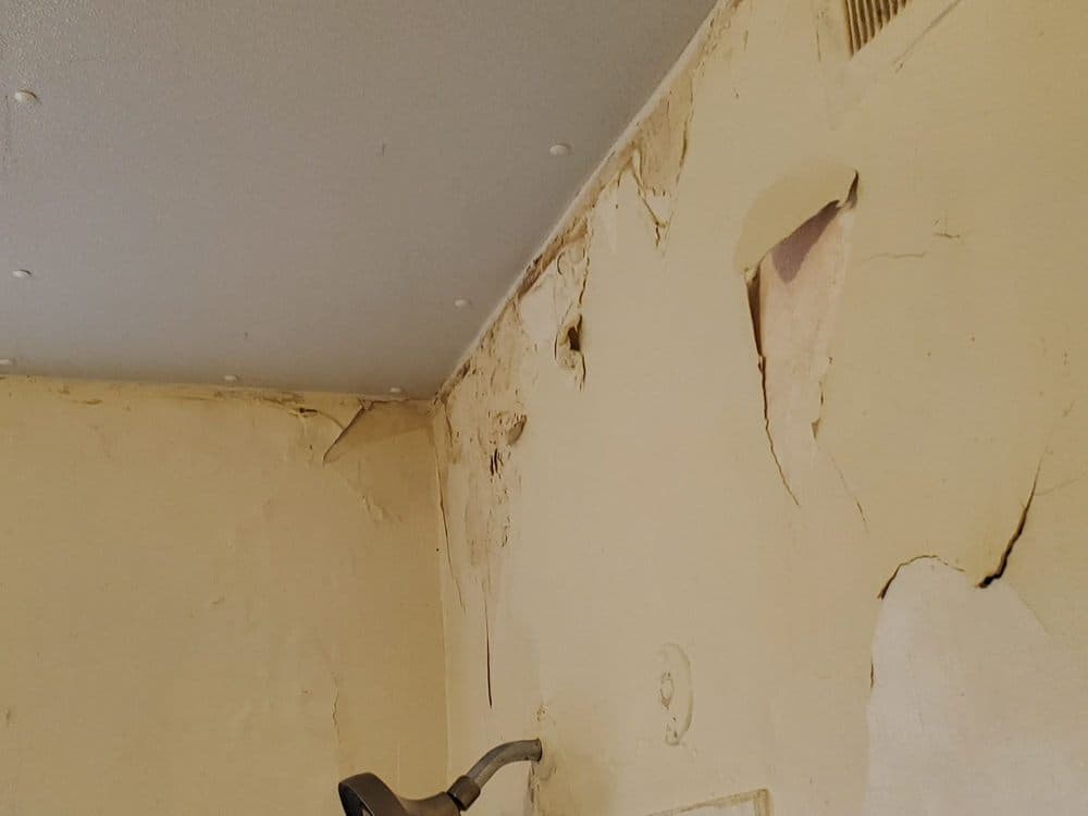 Cement wall before repair
