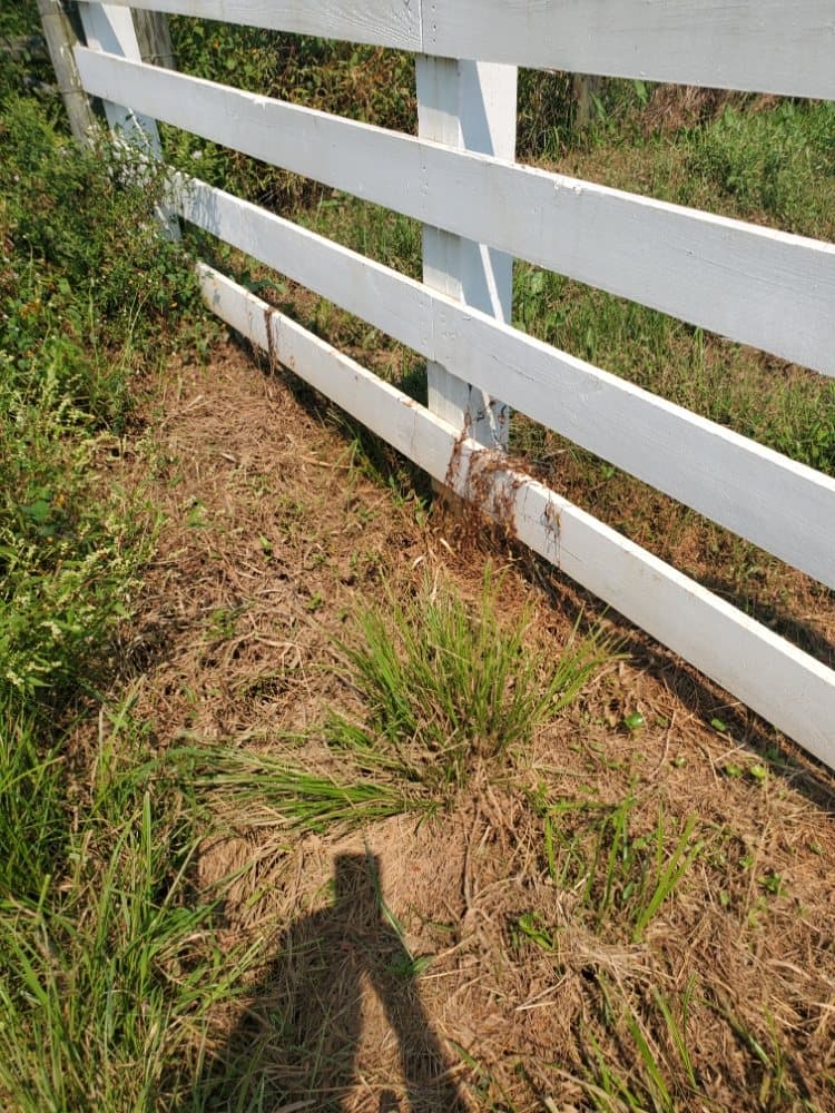 Two miles of farm fence pressure washed and painted