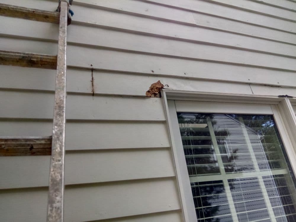Removing old siding during exterior renovation